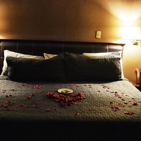 Hotel Flamingo Kristal Irapuato Luaran gambar